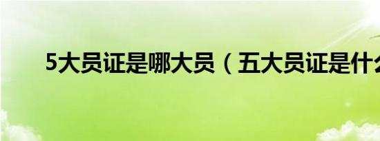 5大员证是哪大员（五大员证是什么）