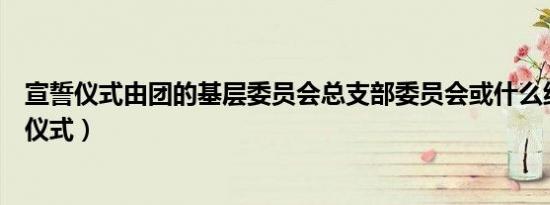 宣誓仪式由团的基层委员会总支部委员会或什么组织（宣誓仪式）