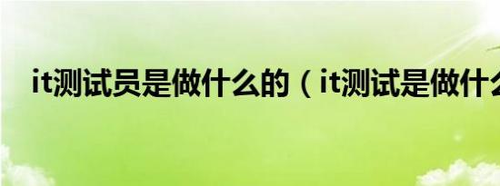 it测试员是做什么的（it测试是做什么的）
