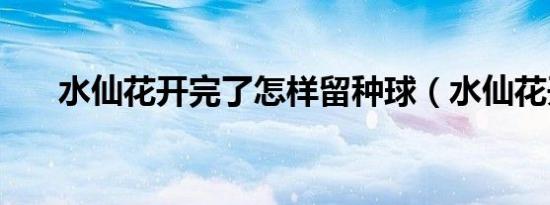 水仙花开完了怎样留种球（水仙花开）