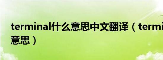 terminal什么意思中文翻译（terminal什么意思）