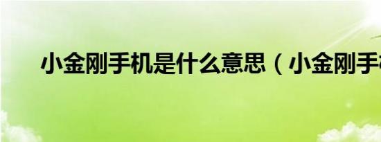 小金刚手机是什么意思（小金刚手机）