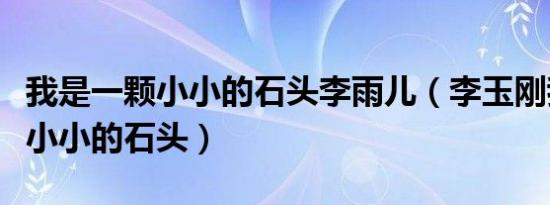 我是一颗小小的石头李雨儿（李玉刚我是一颗小小的石头）
