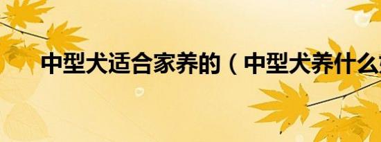 中型犬适合家养的（中型犬养什么好）