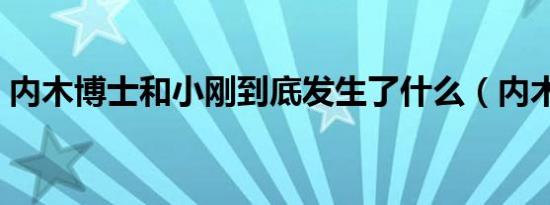 内木博士和小刚到底发生了什么（内木博士）