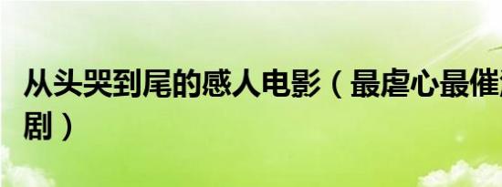 从头哭到尾的感人电影（最虐心最催泪的电视剧）