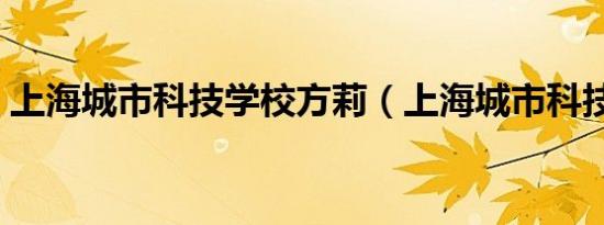 上海城市科技学校方莉（上海城市科技学校）