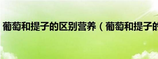 葡萄和提子的区别营养（葡萄和提子的区别）
