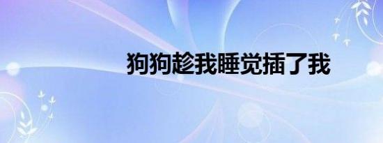 狗狗趁我睡觉插了我