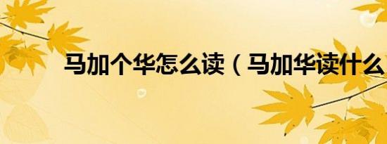 马加个华怎么读（马加华读什么）