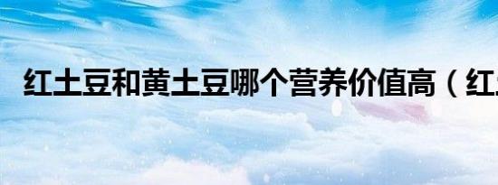 红土豆和黄土豆哪个营养价值高（红土豆）