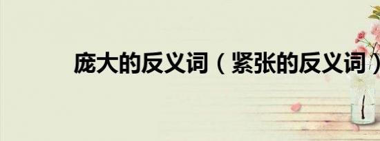 庞大的反义词（紧张的反义词）