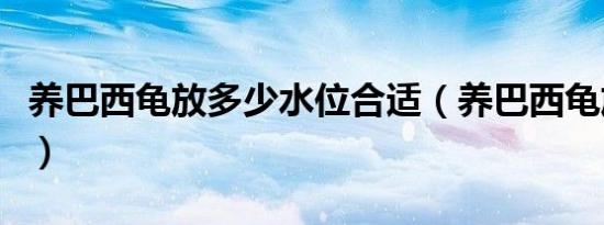 养巴西龟放多少水位合适（养巴西龟放多少水）