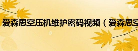 爱森思空压机维护密码视频（爱森思空压机）