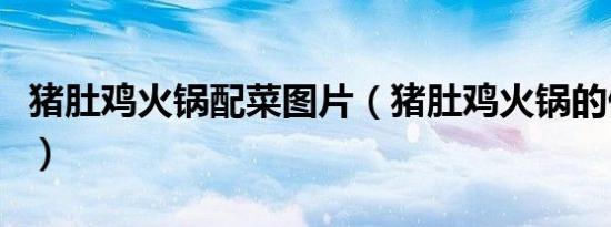 猪肚鸡火锅配菜图片（猪肚鸡火锅的做法大全）