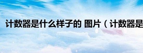 计数器是什么样子的 图片（计数器是什么）
