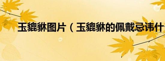 玉貔貅图片（玉貔貅的佩戴忌讳什么）