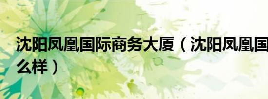沈阳凤凰国际商务大厦（沈阳凤凰国际ktv怎么样）
