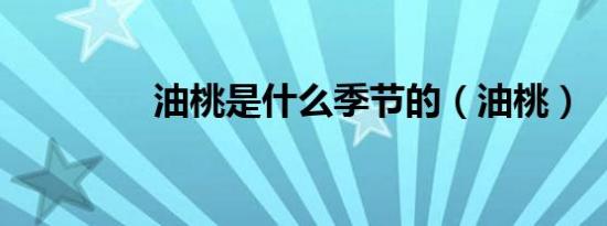 油桃是什么季节的（油桃）