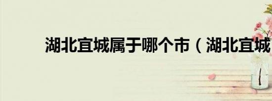 湖北宜城属于哪个市（湖北宜城）