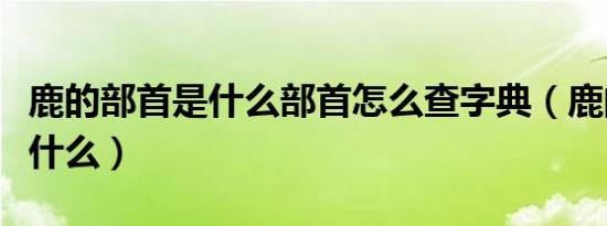 鹿的部首是什么部首怎么查字典（鹿的部首是什么）