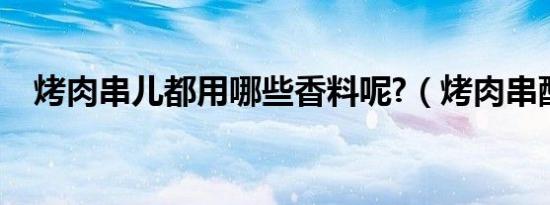 烤肉串儿都用哪些香料呢?（烤肉串配料）