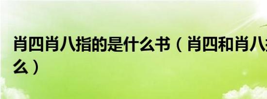 肖四肖八指的是什么书（肖四和肖八指的是什么）