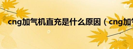 cng加气机直充是什么原因（cng加气机）