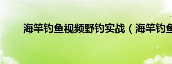 海竿钓鱼视频野钓实战（海竿钓鱼）
