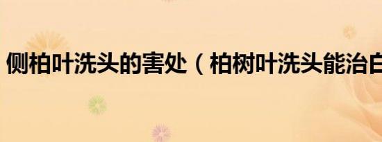侧柏叶洗头的害处（柏树叶洗头能治白发吗）