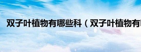 双子叶植物有哪些科（双子叶植物有哪些）