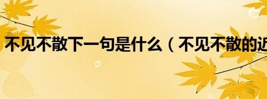 不见不散下一句是什么（不见不散的近义词）