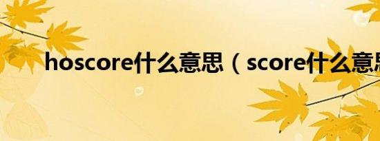 hoscore什么意思（score什么意思）