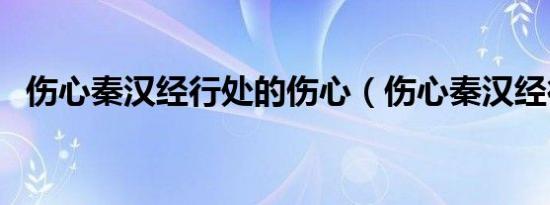 伤心秦汉经行处的伤心（伤心秦汉经行处）