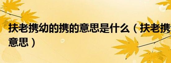 扶老携幼的携的意思是什么（扶老携幼的携的意思）