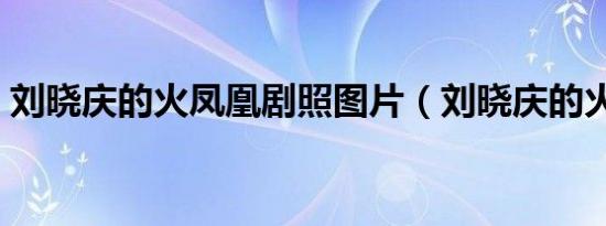 刘晓庆的火凤凰剧照图片（刘晓庆的火凤凰）