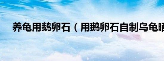 养龟用鹅卵石（用鹅卵石自制乌龟晒台）