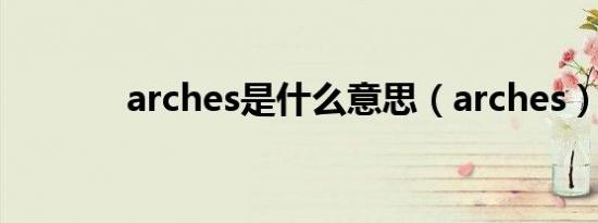 arches是什么意思（arches）