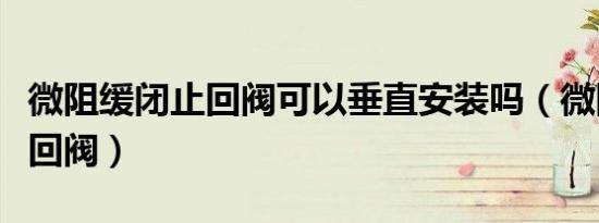 微阻缓闭止回阀可以垂直安装吗（微阻缓闭止回阀）