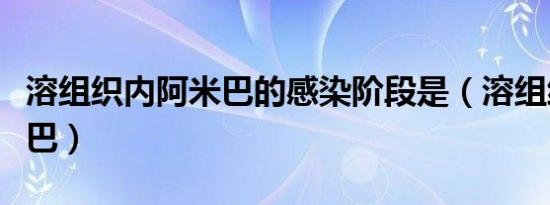 溶组织内阿米巴的感染阶段是（溶组织内阿米巴）
