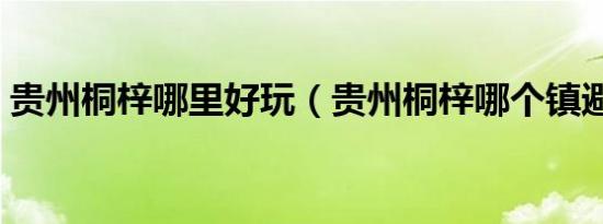 贵州桐梓哪里好玩（贵州桐梓哪个镇避暑好）