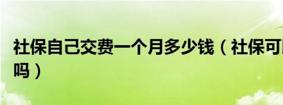 社保自己交费一个月多少钱（社保可以自己交吗）