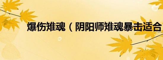 爆伤雉魂（阴阳师雉魂暴击适合）