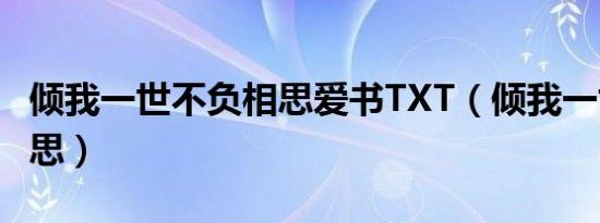 倾我一世不负相思爱书TXT（倾我一世不负相思）