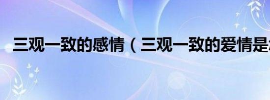 三观一致的感情（三观一致的爱情是怎样）