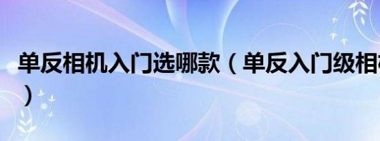单反相机入门选哪款（单反入门级相机哪个好）