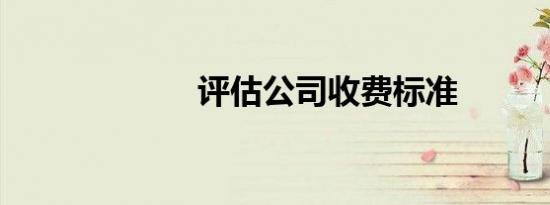 评估公司收费标准