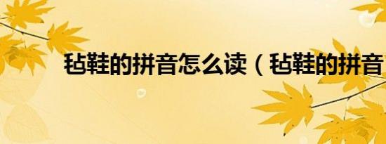 毡鞋的拼音怎么读（毡鞋的拼音）
