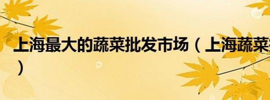 上海最大的蔬菜批发市场（上海蔬菜批发市场）