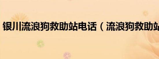 银川流浪狗救助站电话（流浪狗救助站电话）